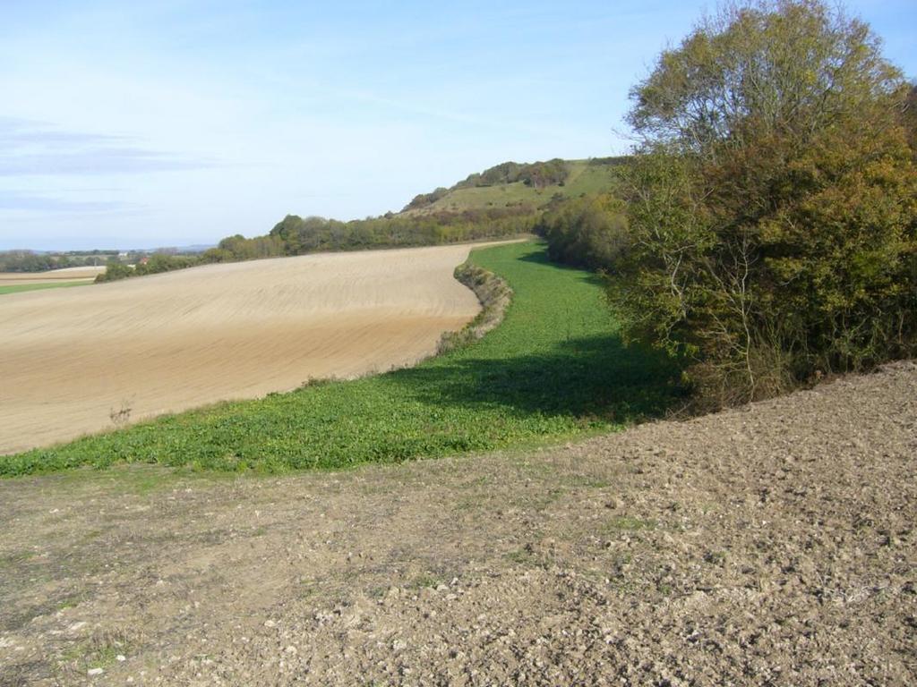 Les Collines Du Breuil Villa Samer Luaran gambar